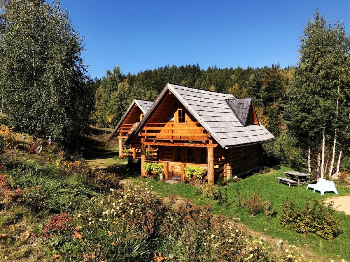 Lesniowka Domki W Karpaczu Exterior photo